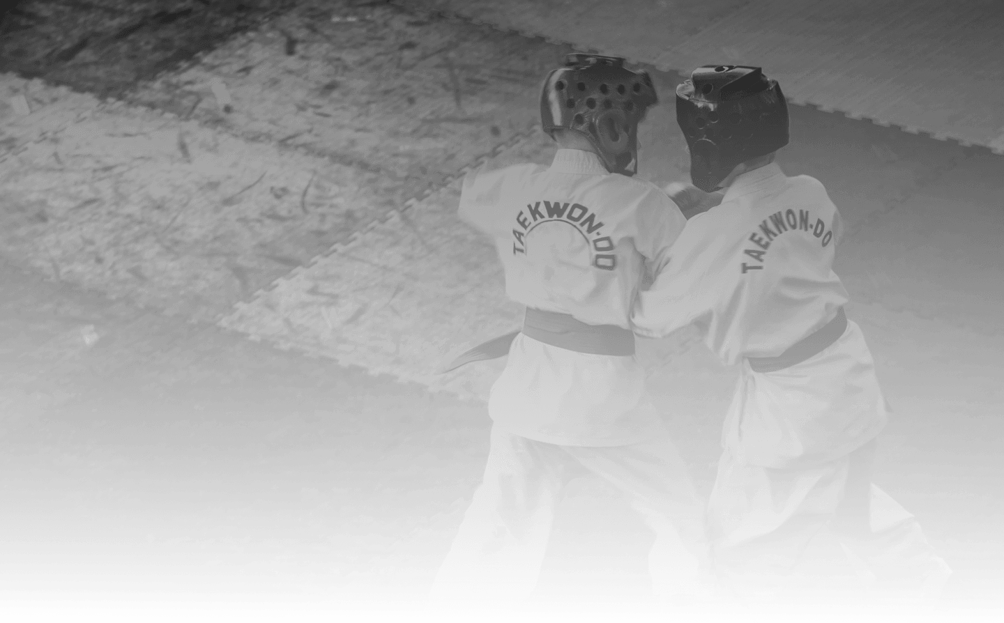 태권도 배경